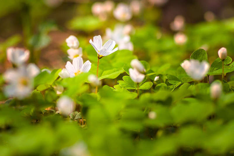 *** ����� �������  �� PhotoGeek.ru #�����