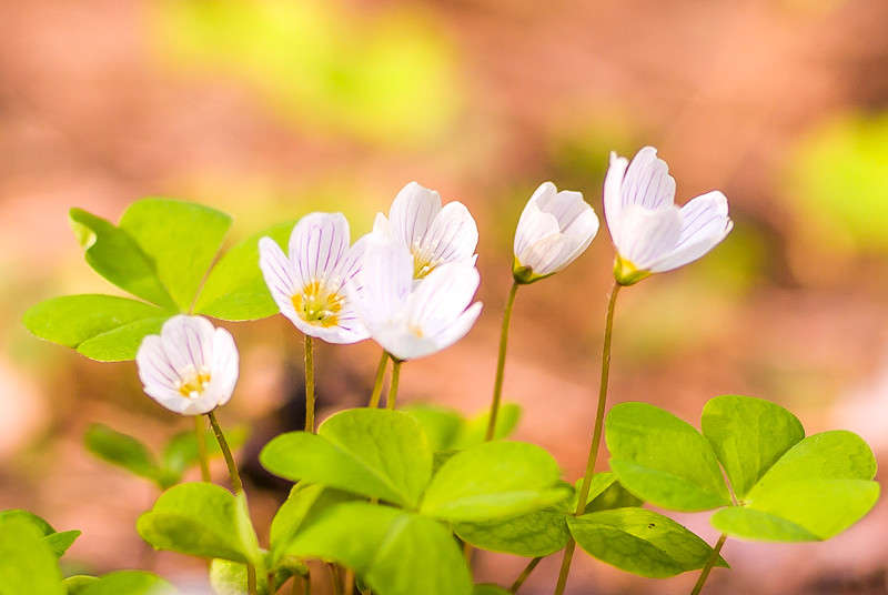 *** ����� �������  �� PhotoGeek.ru #�����