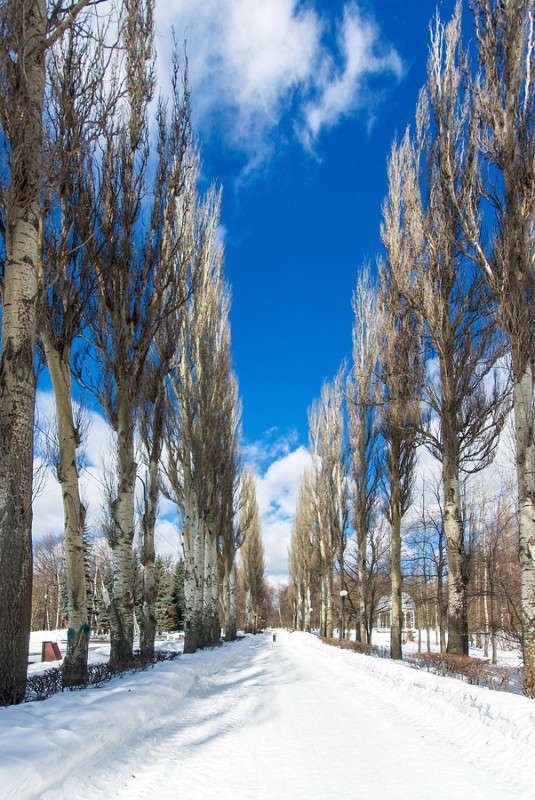 *** ����� �������  �� PhotoGeek.ru #����� #������ ��� �������