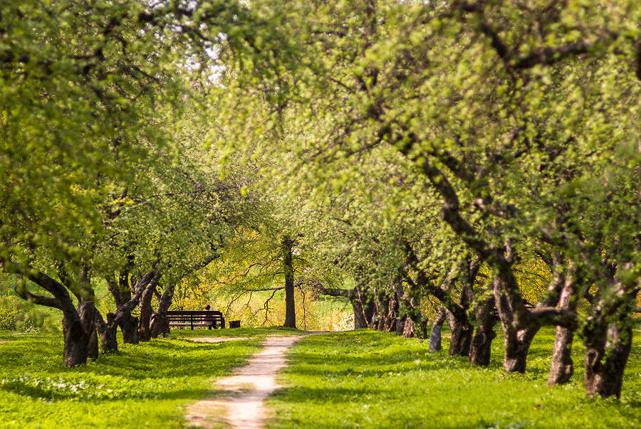 *** ����� �������  �� PhotoGeek.ru #������ ��� �������