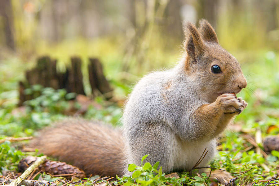 *** ����� �������  �� PhotoGeek.ru #�������� ��� #������ ��� �������