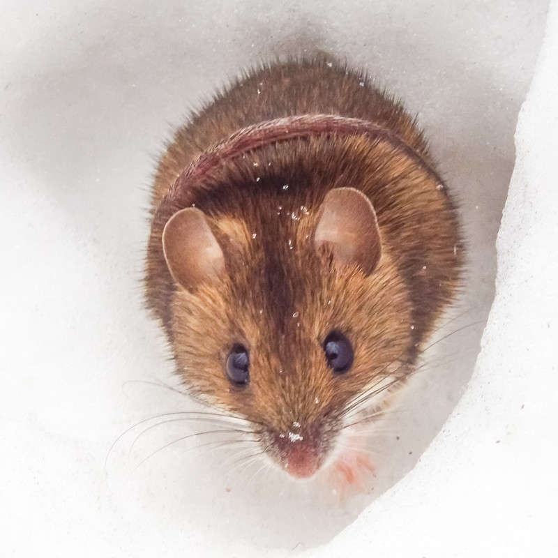 *** ����� �������  �� PhotoGeek.ru #�������� ��� #������ ��� �������