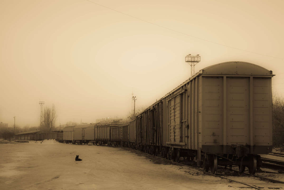 �� ������� �������� ����� ����  �� PhotoGeek.ru #�������� ���������� #�����-�����