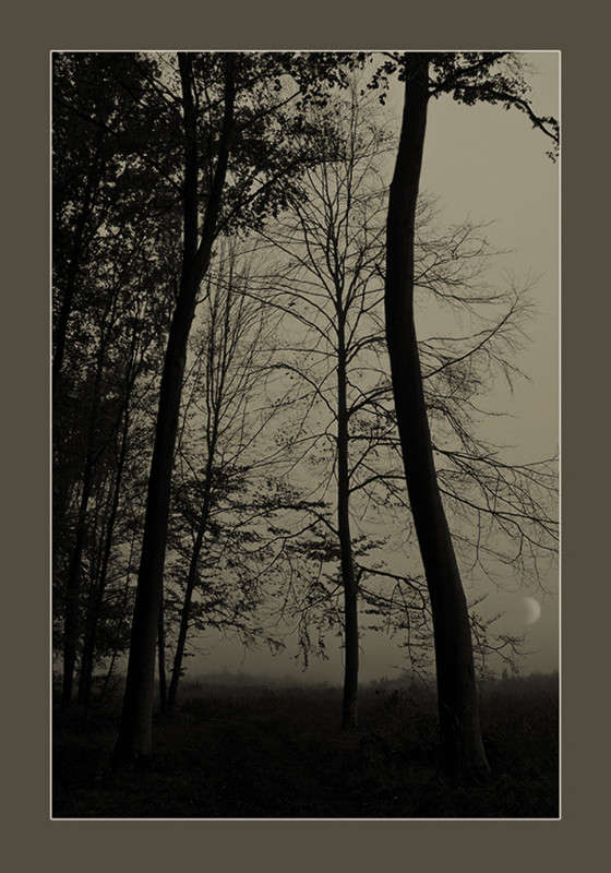 ����� �� ������ ����� �������� ���� �� PhotoGeek.ru #������ ��� ������� #��� #����� #��������� #���