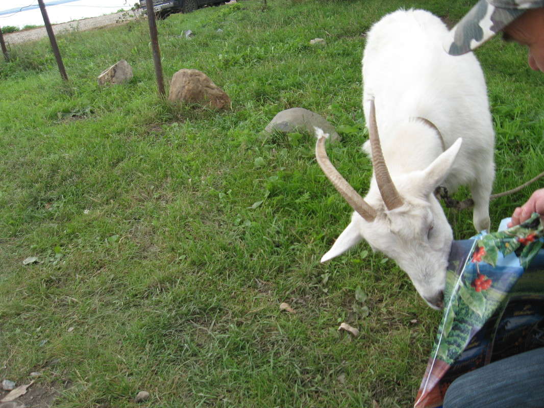 �� ������. ����� ������� ������� �� PhotoGeek.ru #�������� ���