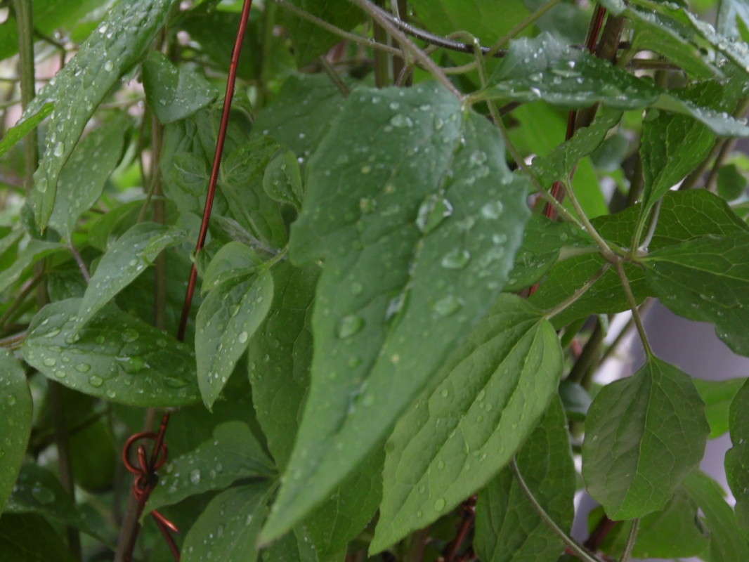 ����� ����� ����� ��� �������� �� PhotoGeek.ru #������ ��� �������