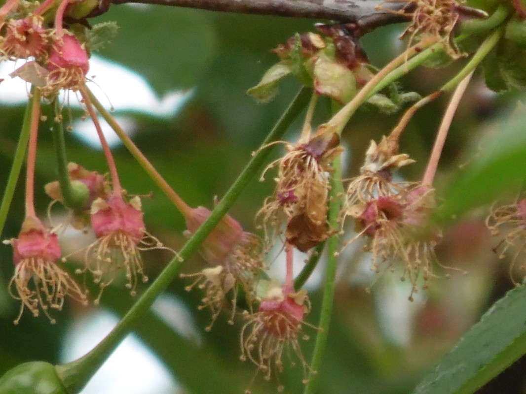 ����� ����� ��� �������� �� PhotoGeek.ru #������ ��� �������