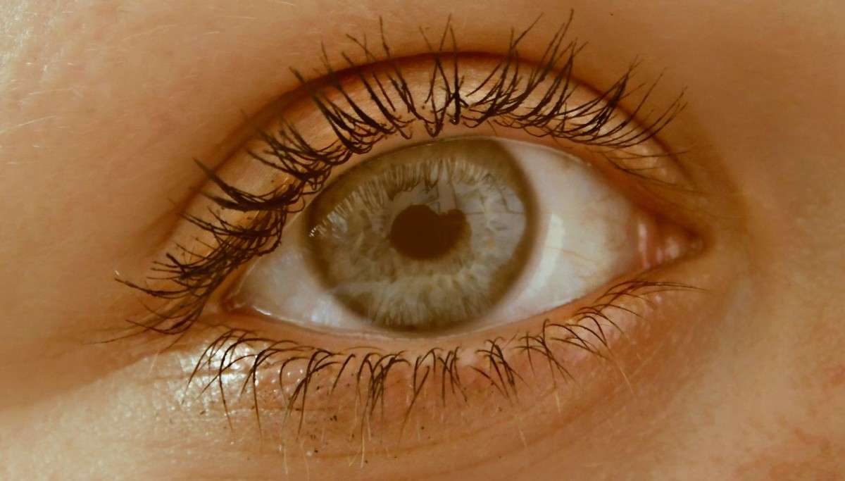 ������ ����� ��� �������� �� PhotoGeek.ru #�����