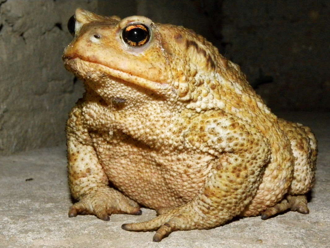 ... ����� ������  �� PhotoGeek.ru #�������� ���