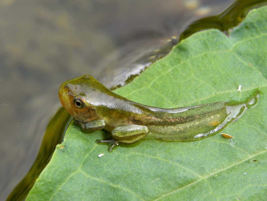 ������� ������ ����� ������  �� PhotoGeek.ru #�����