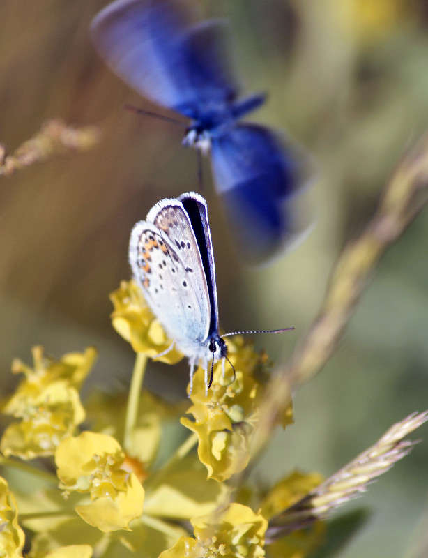 ������ �� �������. ����� ����� ������ �� PhotoGeek.ru #�����