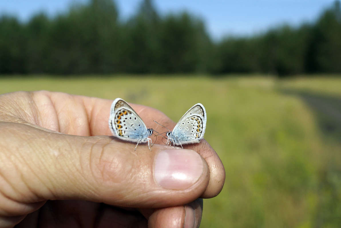 ������� ���������. ����� ����� ������ �� PhotoGeek.ru #�����