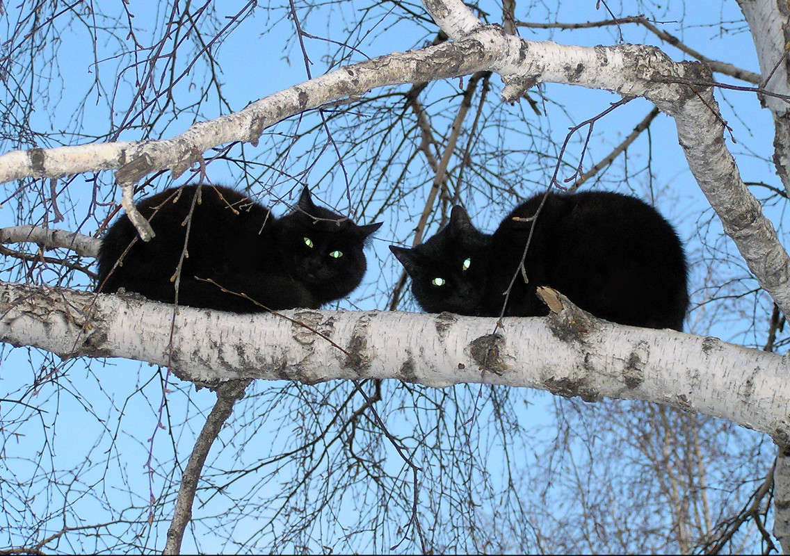 ��������. ����� ����� ������ �� PhotoGeek.ru