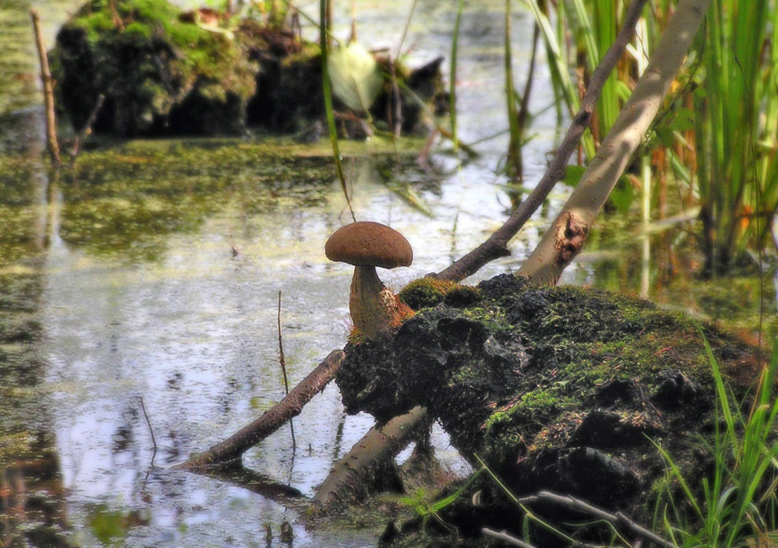 �� �����-�� �� ��������! ����� ����� ������ �� PhotoGeek.ru #������ ��� ������� #����� ��������������