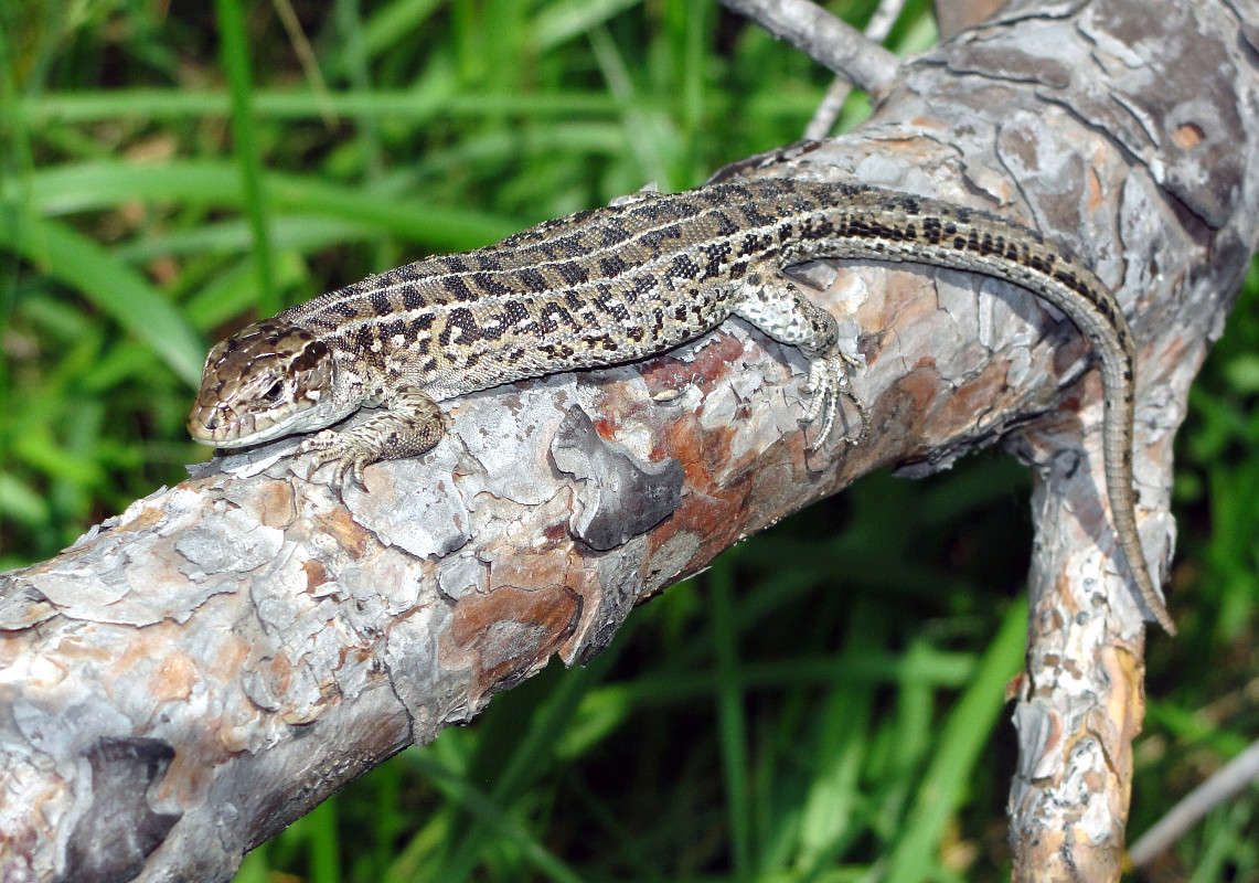 �������! ����� ����� ������ �� PhotoGeek.ru #�������� ��� #����� ��� ��� ���������