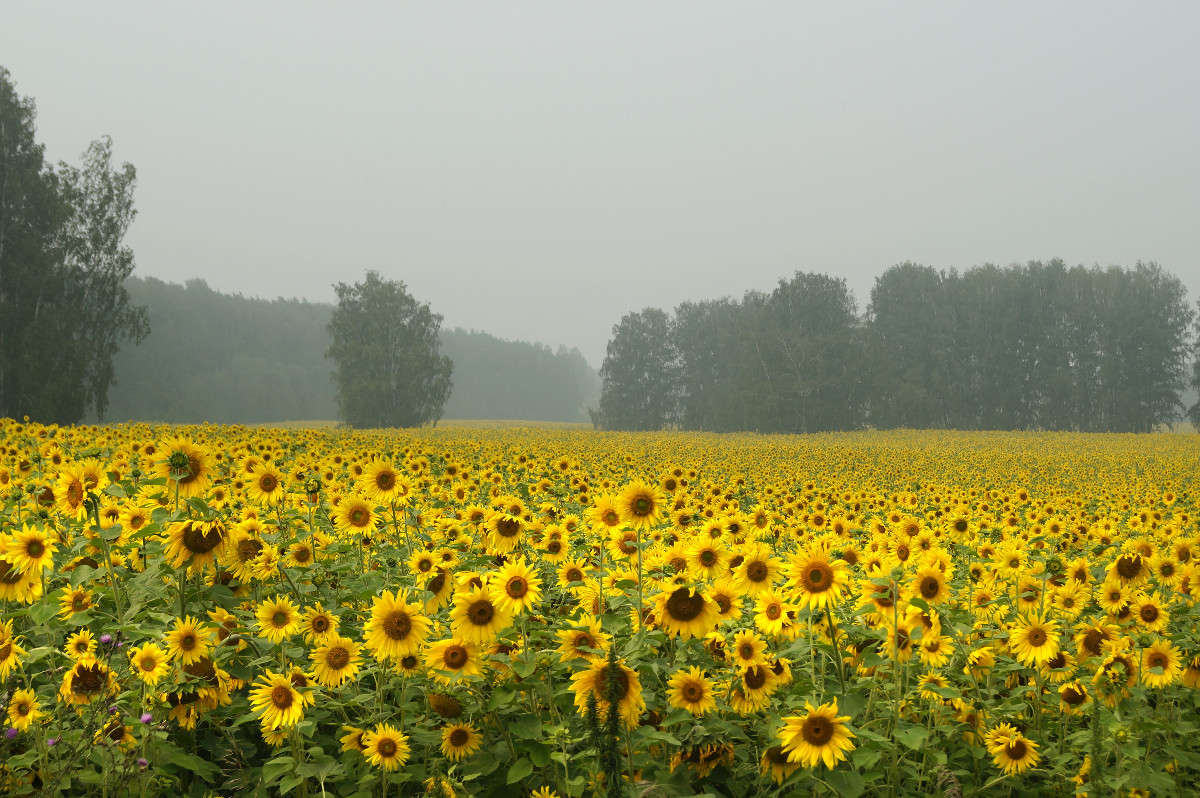 ��������� �����! ����� ����� ������ �� PhotoGeek.ru #������ ��� ������� #����� ��������������