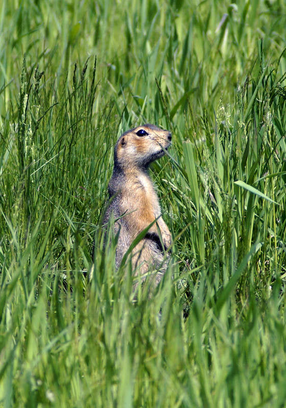 �������. ����� ����� ������ �� PhotoGeek.ru #�������� ��� #����� ��� ��� ���������