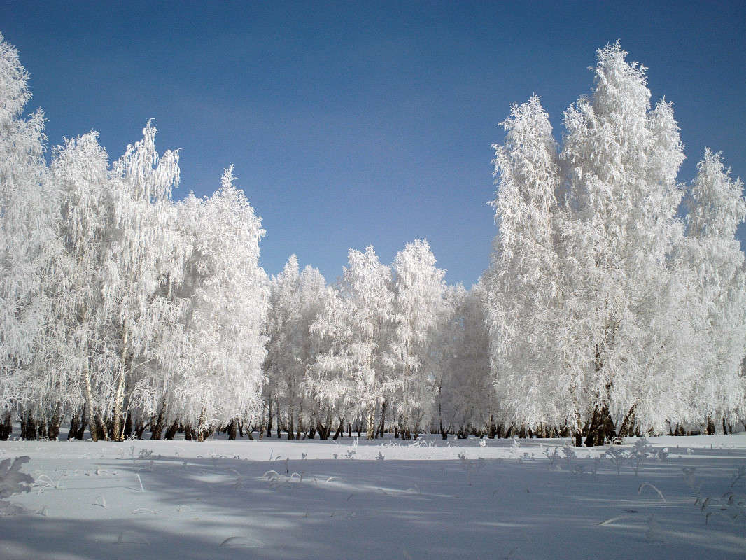 ���� ����� ����� ������ �� PhotoGeek.ru #������ ��� ������� #����� ��������