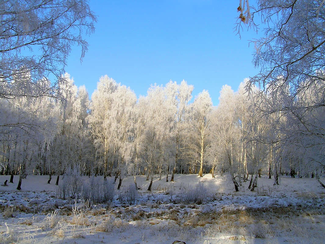 ����-3 ����� ����� ������ �� PhotoGeek.ru #������ ��� ������� #����� ��������