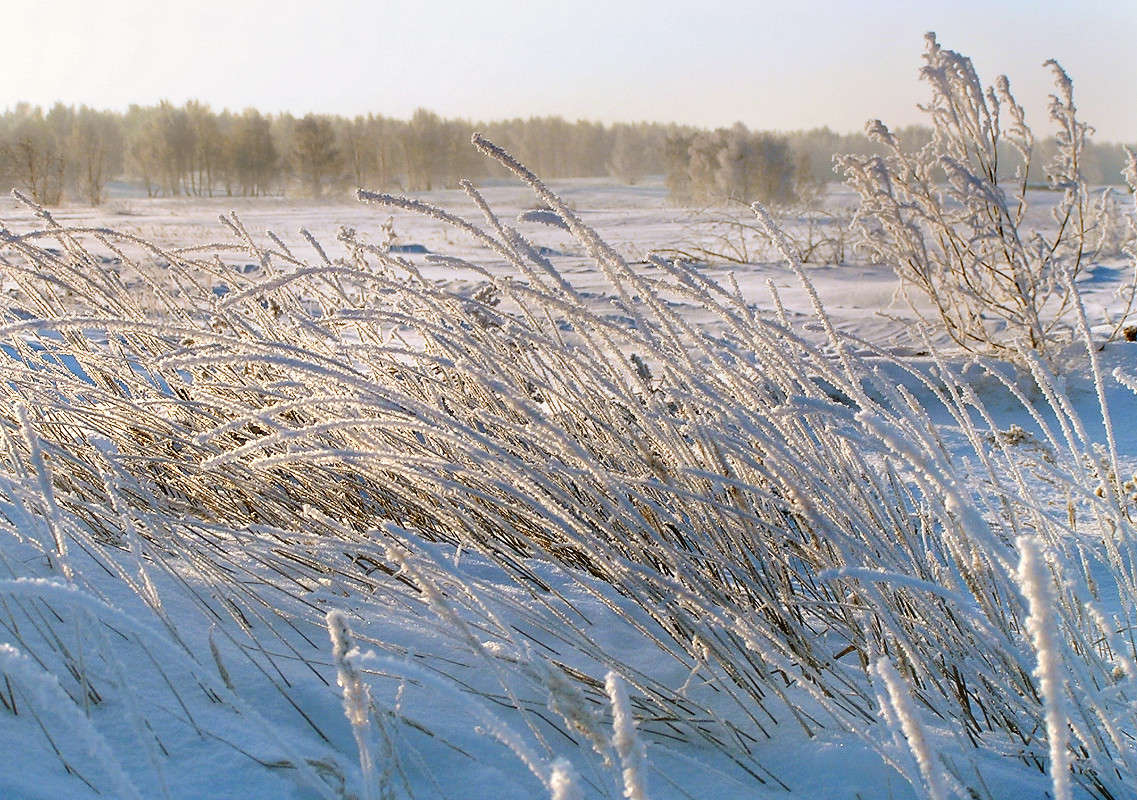 ����-4 ����� ����� ������ �� PhotoGeek.ru #������ ��� ������� #����� ��������