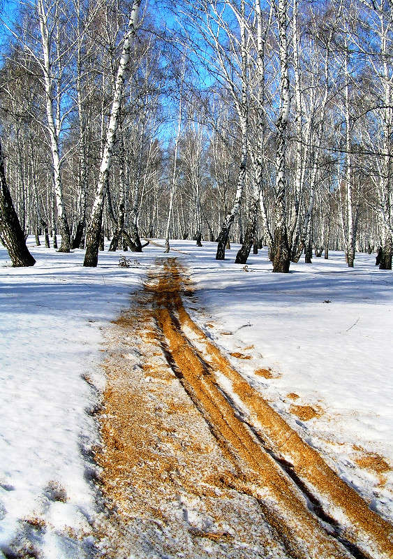 ������� ����� ������ �� �������. ����� ����� ������ �� PhotoGeek.ru #������ ��� ������� #����� ��������