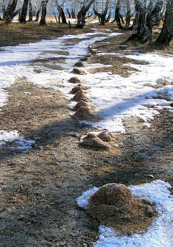 ... ����� ����� ������ �� PhotoGeek.ru #������ ��� ������� #����� ��������