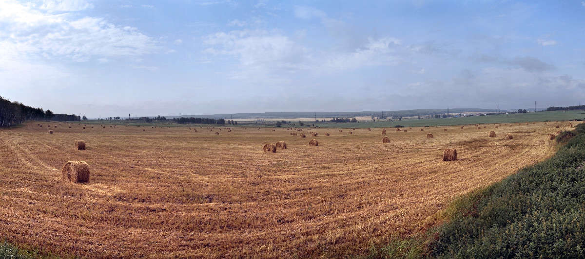 ������ ��������. ����� ����� ������ �� PhotoGeek.ru #������ ��� ������� #�������� #����� ��������