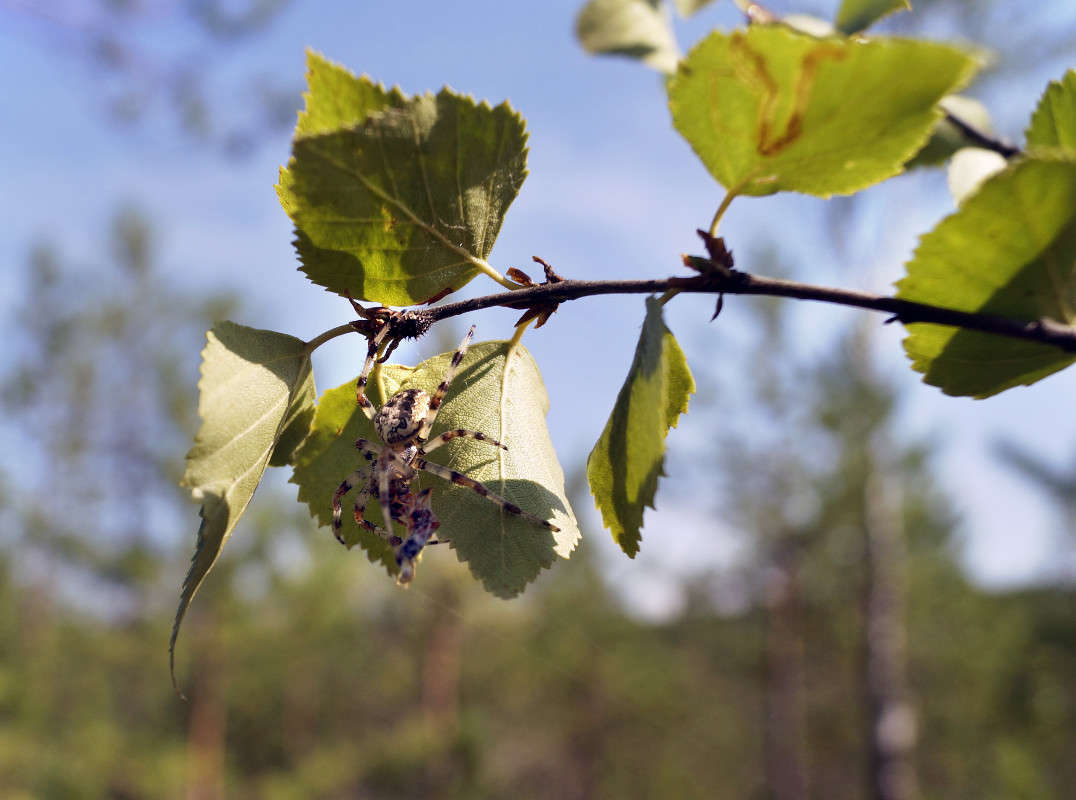 ��� � ����. ����� ����� ������ �� PhotoGeek.ru #����� #���������