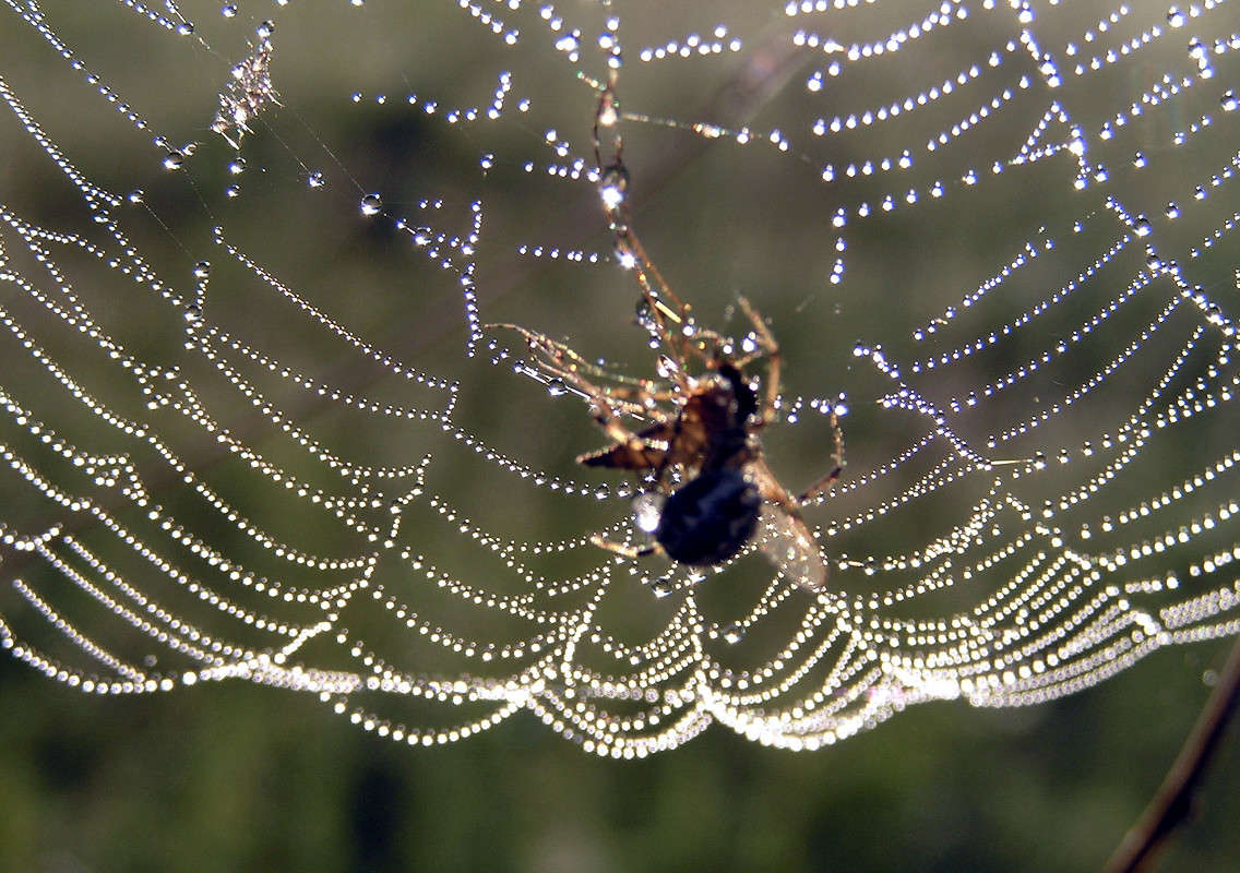 ������ ��������! ����� ����� ������ �� PhotoGeek.ru #����� #���������