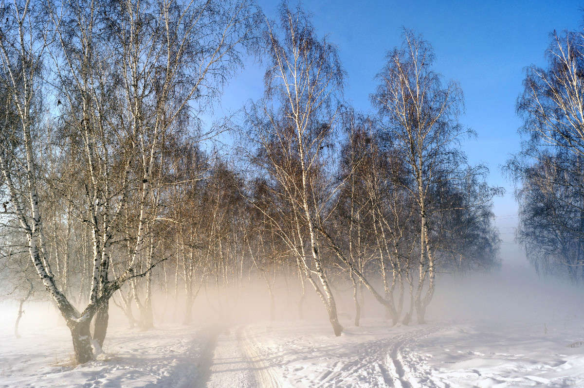 ����� �� ������ ����� ����� ������ �� PhotoGeek.ru #������ ��� ������� #���������