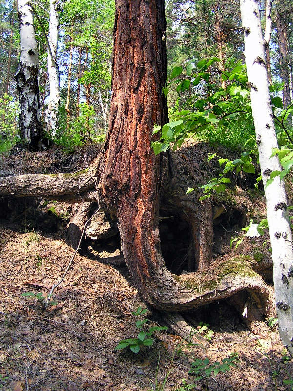 �� �����-����� �������. ����� ����� ������ �� PhotoGeek.ru #������ ��� ������� #����� �������������� #��������� #������