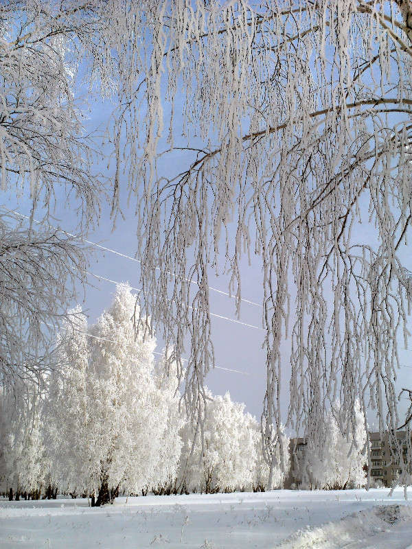 ������ �����! ����� ����� ������ �� PhotoGeek.ru #������ ��� ������� #��������� #������