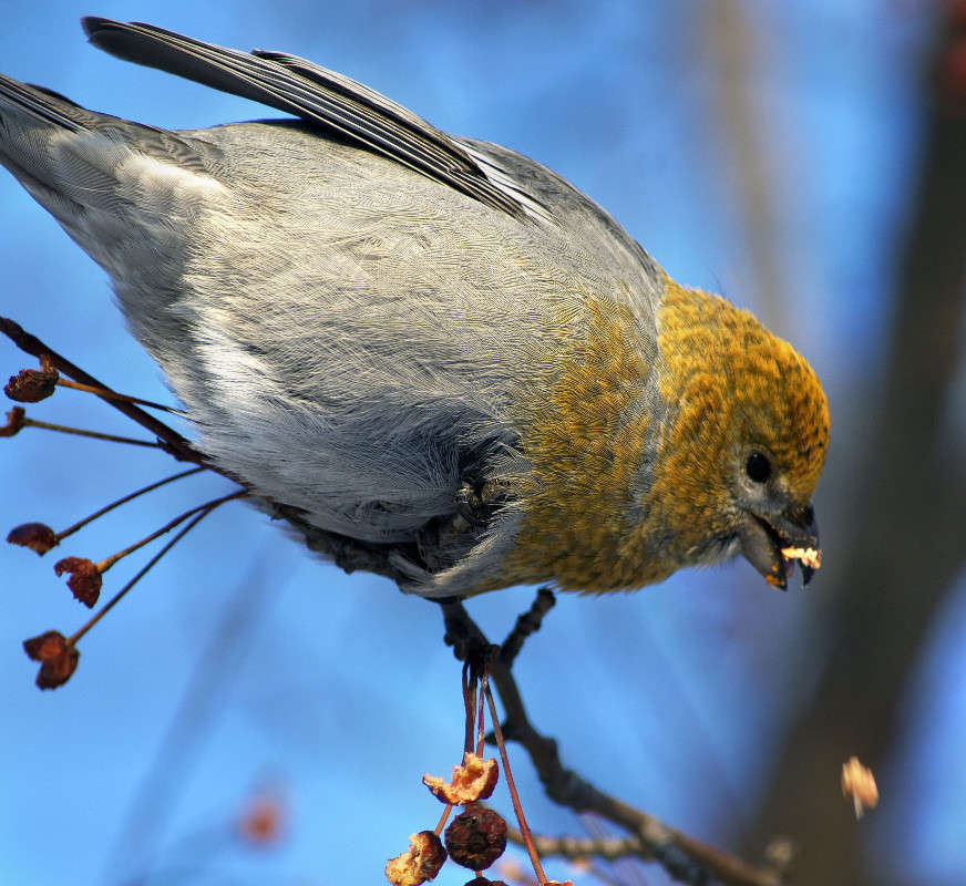 � ��� ������ �������! ����� ����� ������ �� PhotoGeek.ru #�������� ��� #����� ��� ��� ���������