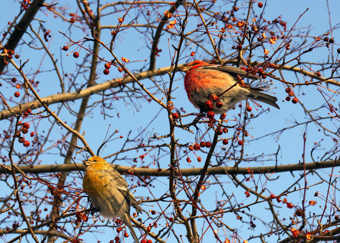 ��������� �� ����. ����� ����� ������ �� PhotoGeek.ru #�������� ��� #������ ��� ������� #����� ��� ��� ���������