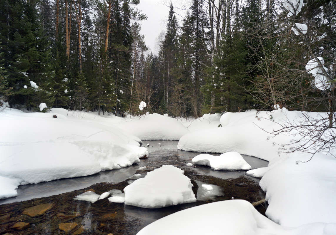 ������ �����! ����� ����� ������ �� PhotoGeek.ru #������ ��� ������� #��������� #������