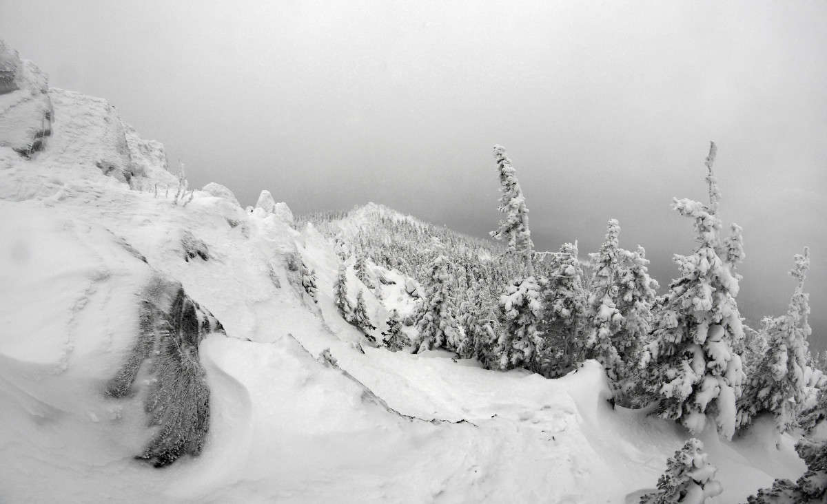 ������������ ���� 