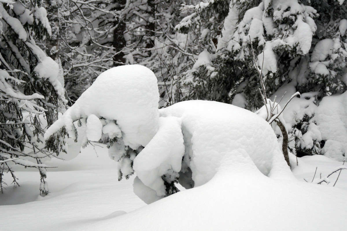 ������������ ���� 