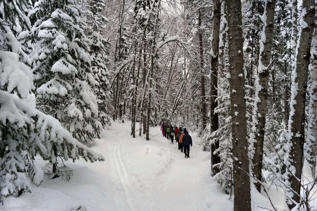 ������������ ���� 