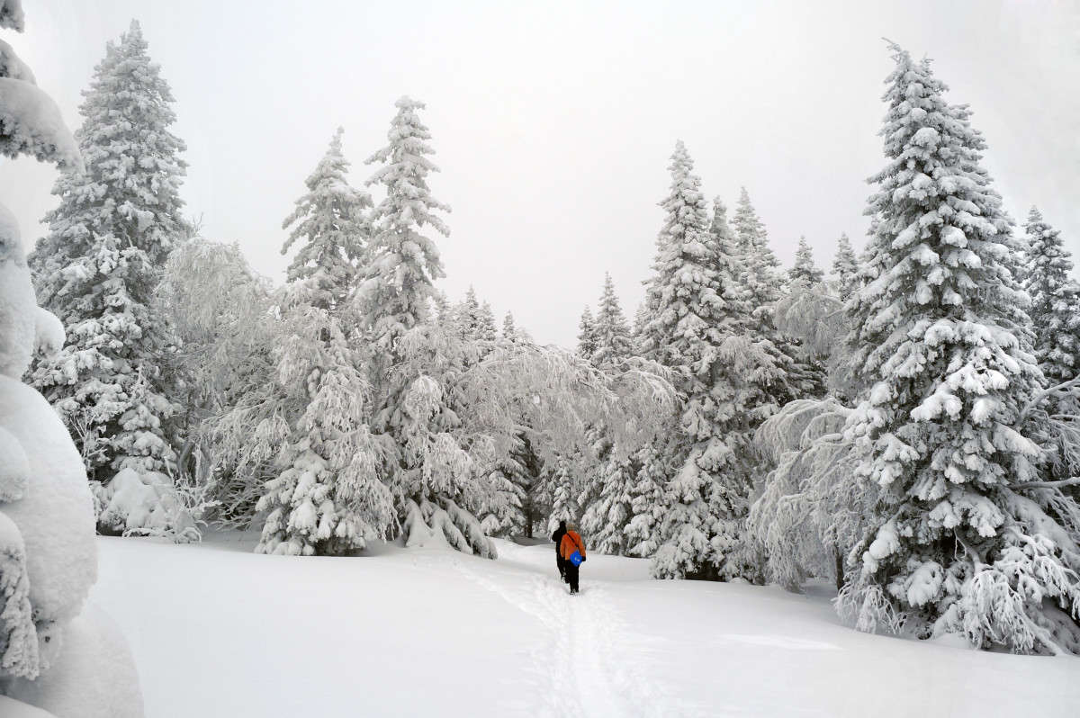 ������������ ���� "�������"- 5 ����� ����� ������ �� PhotoGeek.ru #������ ��� ������� #������ #����� ��������