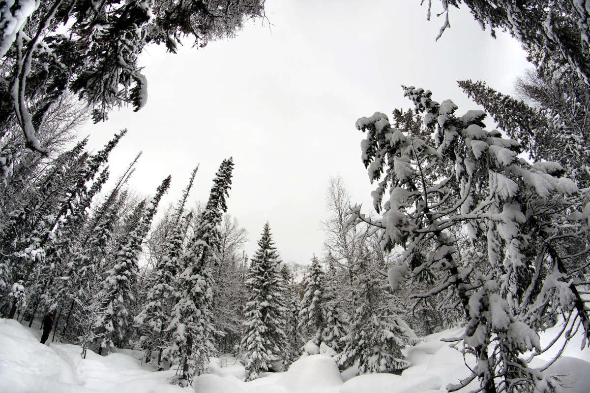 ������������ ���� 