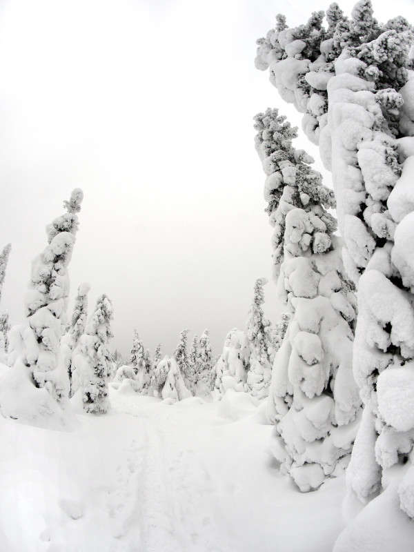 ������������ ���� 