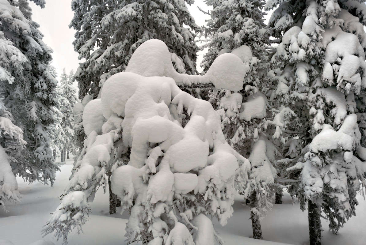 ������������ ���� "�������"- 12 ����� ����� ������ �� PhotoGeek.ru #������ ��� ������� #������ #����� ��������