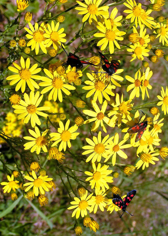 ������� ����� ������! ����� ����� ������ �� PhotoGeek.ru #������ ��� ������� #����� �������������� #������