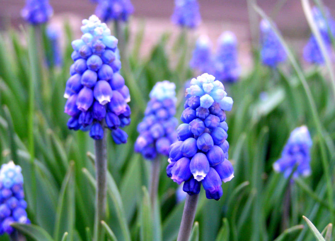 ��������� � �����! ����� ����� ������ �� PhotoGeek.ru #������ ��� ������� #����� �������������� #������