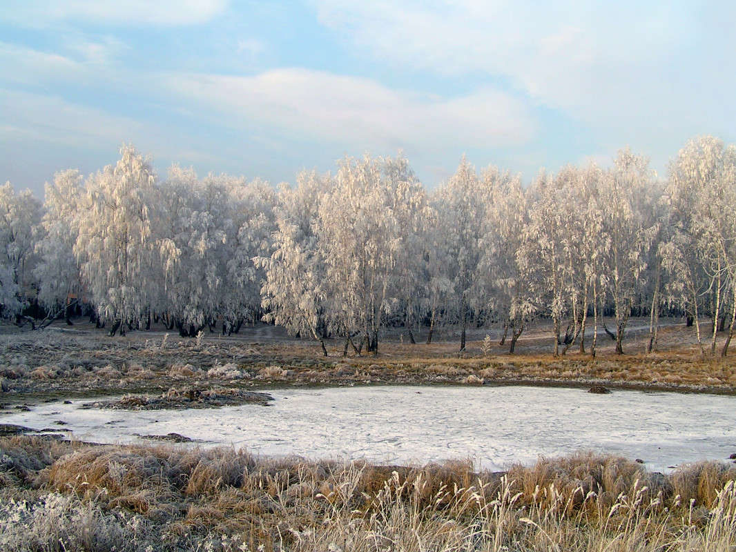 ���������� ��������. ����� ����� ������ �� PhotoGeek.ru #������ ��� ������� #��������� #������