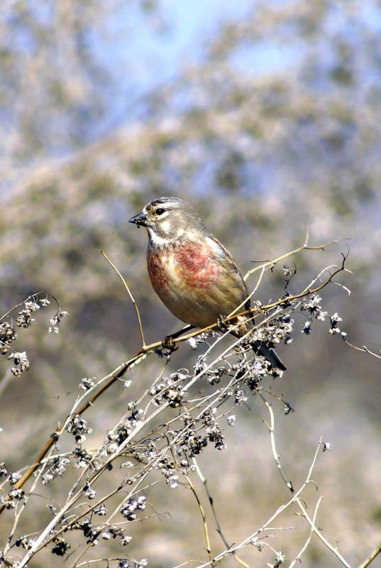 ���������� ����� ����� ������ �� PhotoGeek.ru #�������� ��� #����� ��� ��� ���������