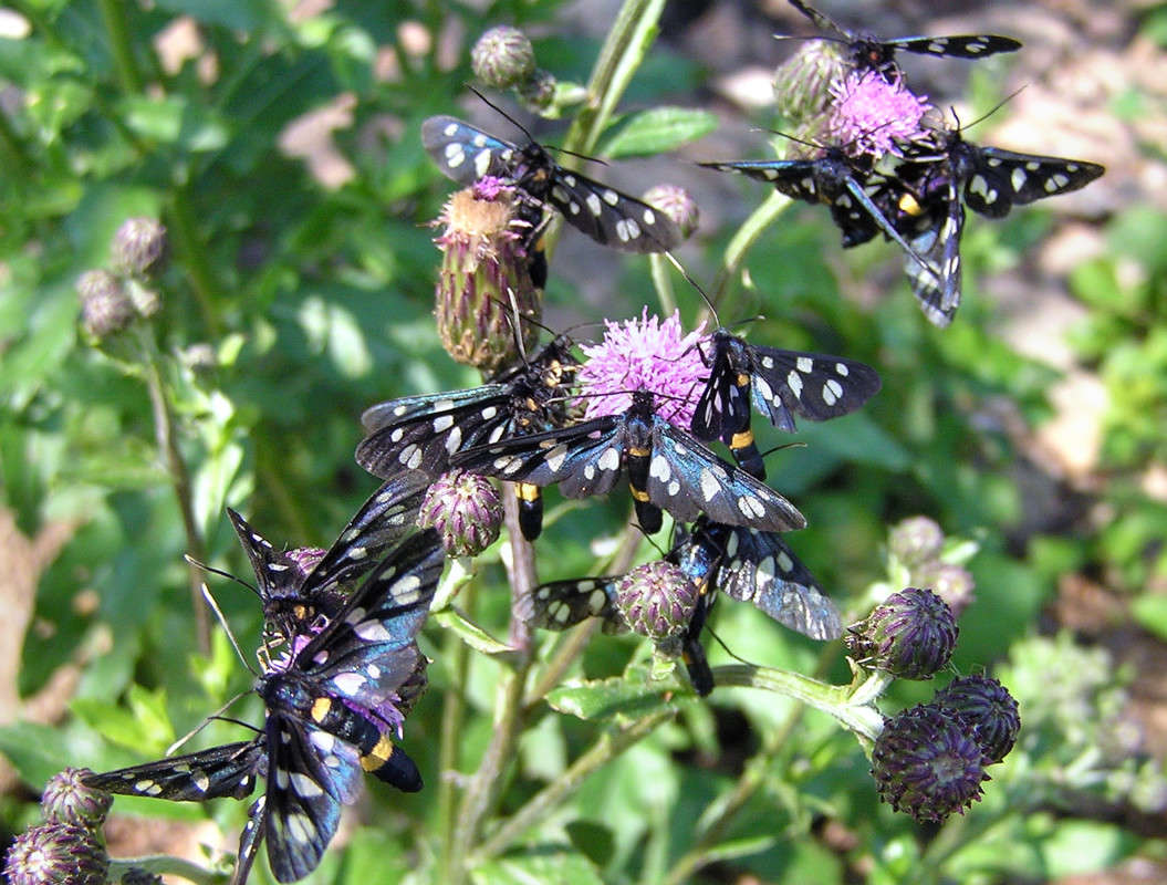 ������� �� �����������! ����� ����� ������ �� PhotoGeek.ru #�������� ��� #������ ��� �������