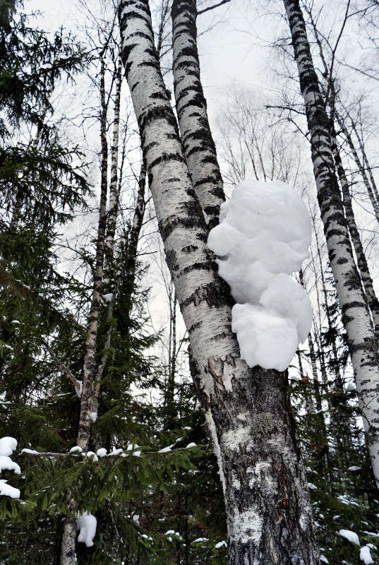 ������� �������! ����� ����� ������ �� PhotoGeek.ru #������ ��� ������� #��������� #������