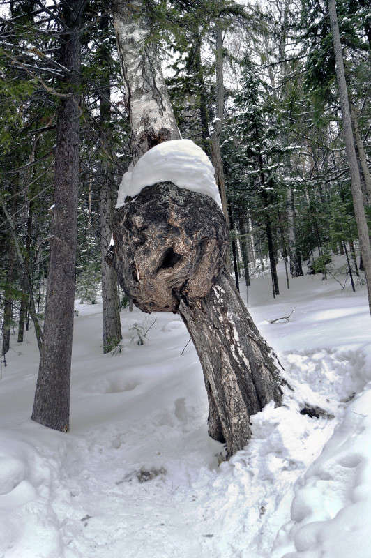 � ����� ������! ����� ����� ������ �� PhotoGeek.ru #������ ��� ������� #��������� #������