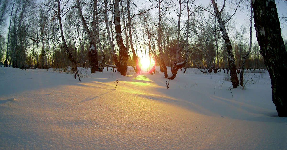 �������� ������! ����� ����� ������ �� PhotoGeek.ru #������ ��� ������� #��������� #������